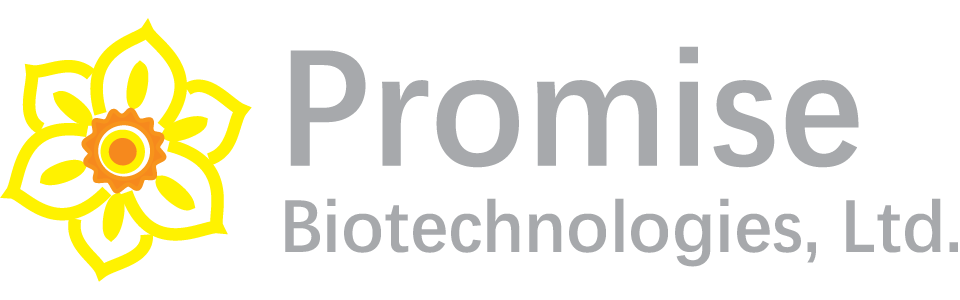 logo_2